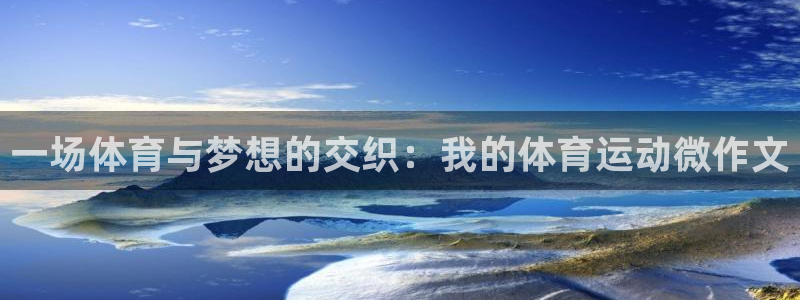 xc体育app官方网站