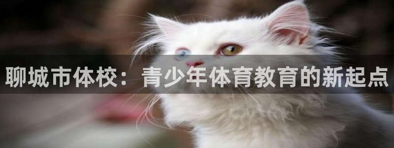 xc体育