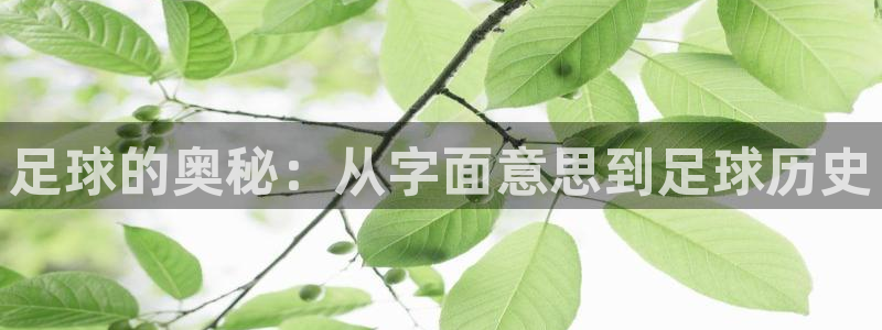 xc体育app官方网站