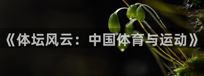 xc体育app官方网站