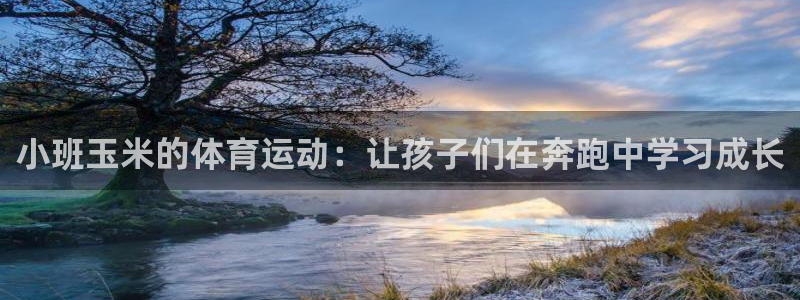xc体育app官方网站