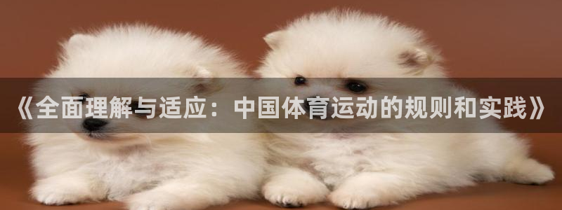 xc体育