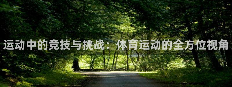 xc体育