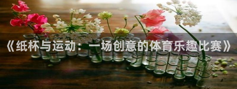 xc体育app官方网站