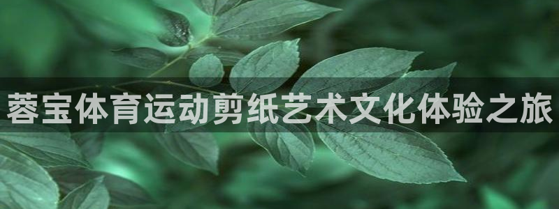 xc体育