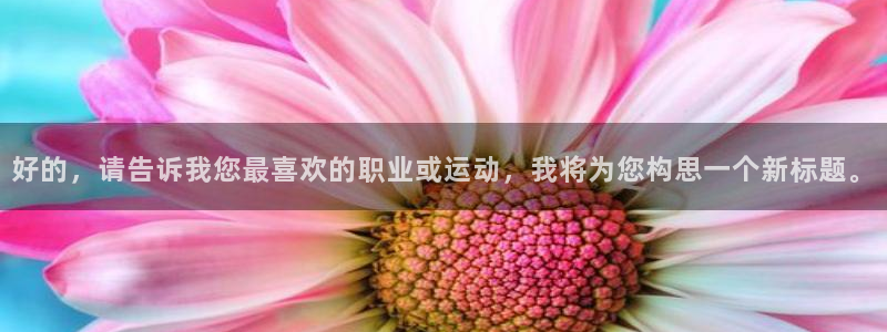 xc体育