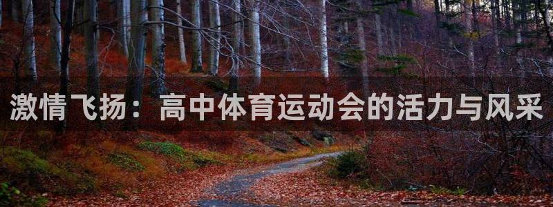xc体育