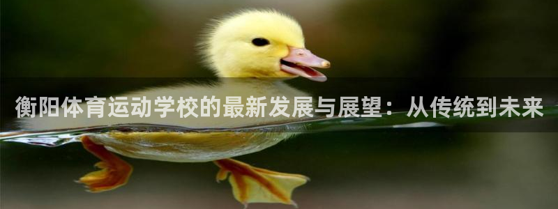 xc体育
