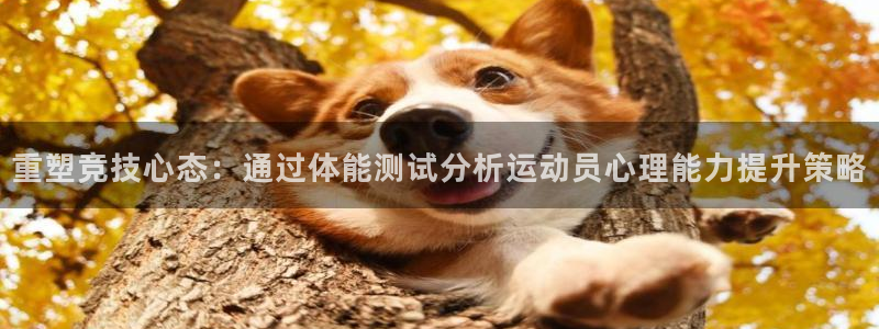 xc体育app官方网站