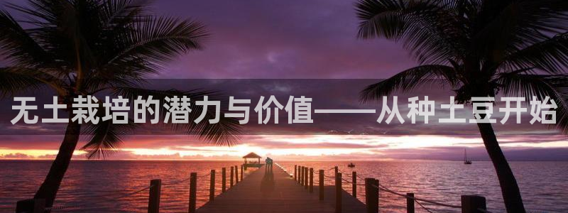 xc体育app官方网站