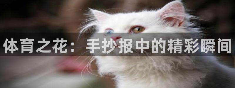 xc体育app官方网站